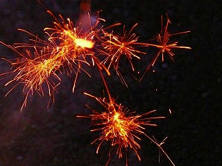20080809007.jpg