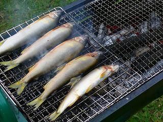 22080809006.jpg
