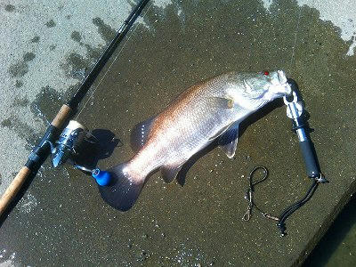 20080825003.jpg
