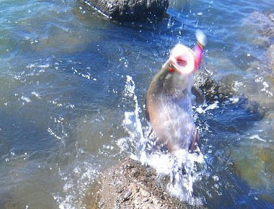 20080825004.jpg