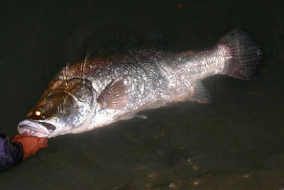 20081003oda.jpg