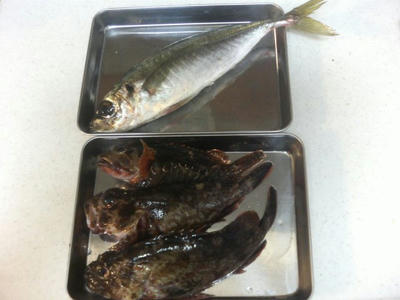 20090205003.jpg