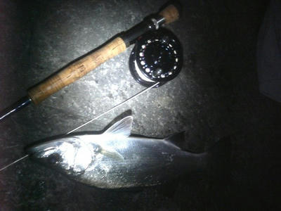 2009223001.jpg