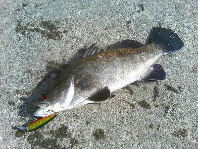 20090426003.jpg