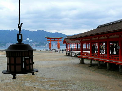 20090503002.jpg