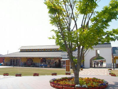 20090506003.jpg