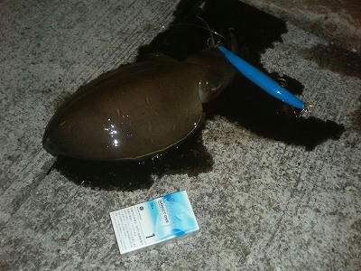 20090522001.jpg