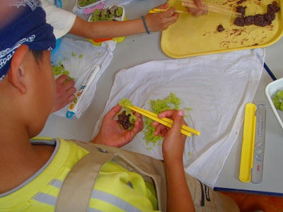 20090618003.jpg