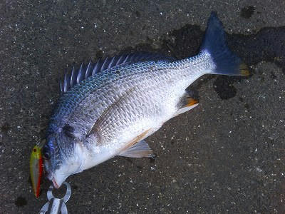20090702001.jpg