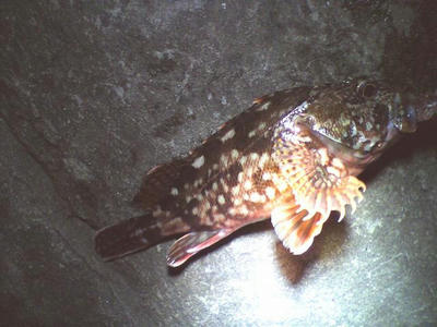 20090716020001.jpg