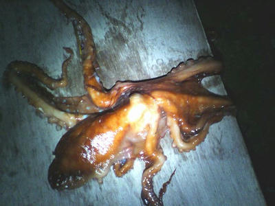 20090716030001.jpg