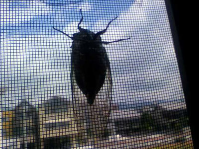 2009071810380000.jpg