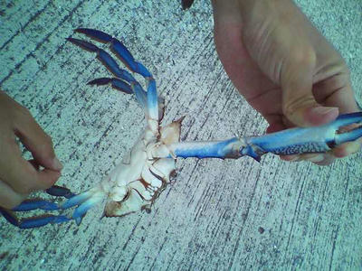 2009071919070000.jpg