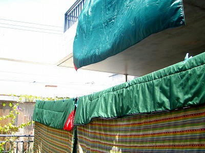 20090817001.jpg
