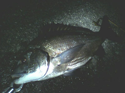 20090829001.jpg