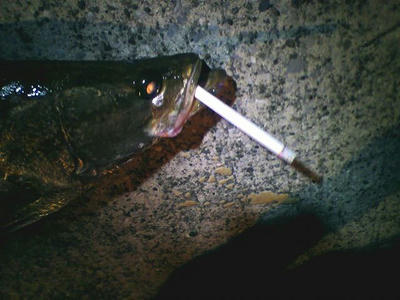 20090912001.jpg
