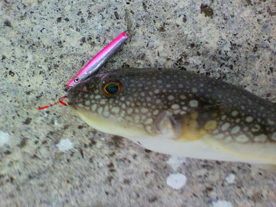 20090914001.jpg