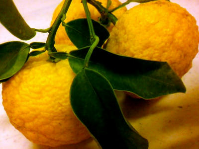 20091221002.jpg