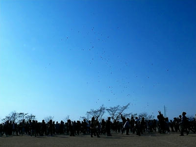 2010214037.jpg