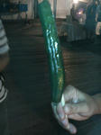 P1000079.JPG