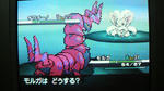 2010092302130000.jpg