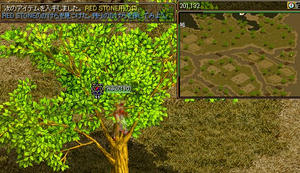 a81cb2b9.jpg