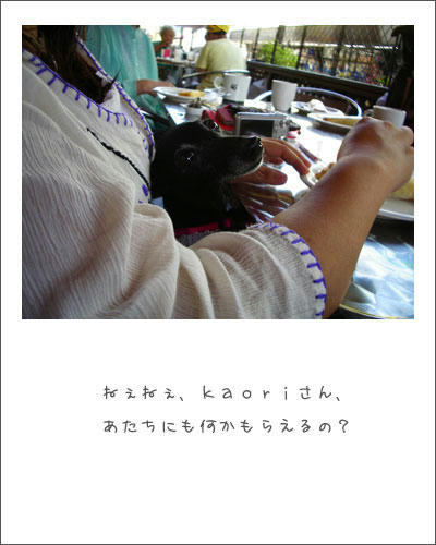 090913-4.jpg