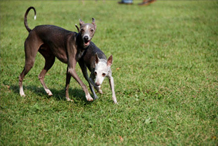 090927-6.jpg