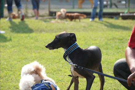 090927-9.jpg