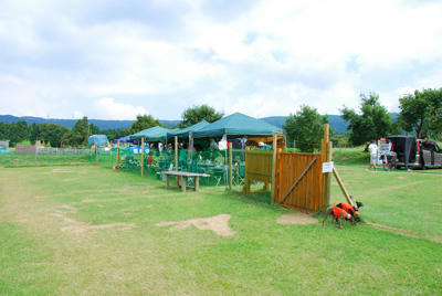 20100905-8.jpg