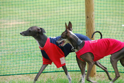 20100905-10.jpg