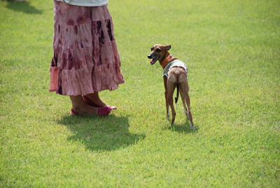 20100905-11.jpg