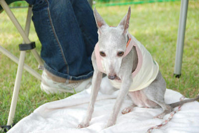 20100905-13.jpg