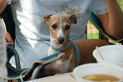 20100905-15.jpg