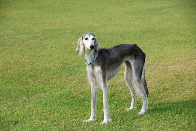 20100905-20.jpg