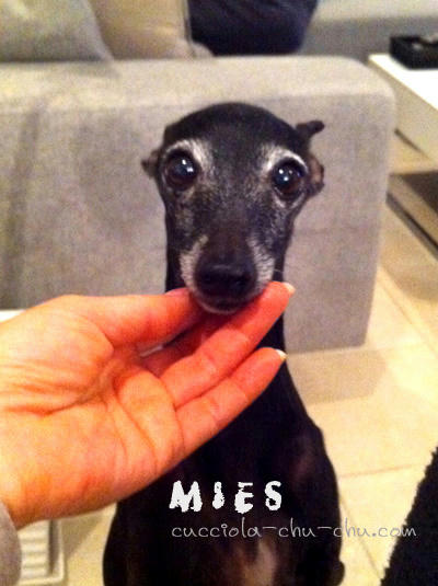 mies1.jpg