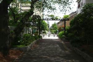 th_CIMG0034.jpg