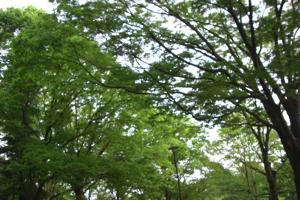 th_CIMG0037.jpg