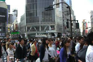 th_CIMG0140.jpg