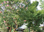 img_373168_17422361_0.jpg