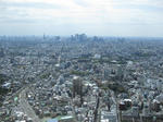 IMG_2183.jpg