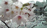 Image031K.jpg