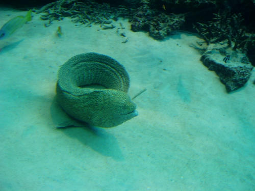 PB010054s.jpg