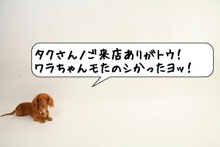 20090507_053419.jpg
