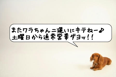 20090507_053800.jpg