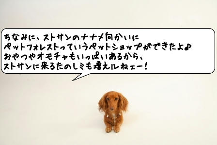 20090507_054250.jpg