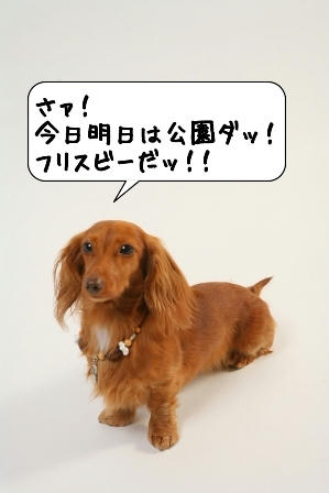 20090507_054457.jpg
