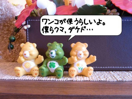 20090825_014053.jpg