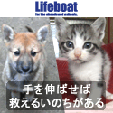 NPO法人犬と猫のためのライフボート～手を伸ばせば救えるいのちがある～