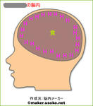 537331778_18.jpg
